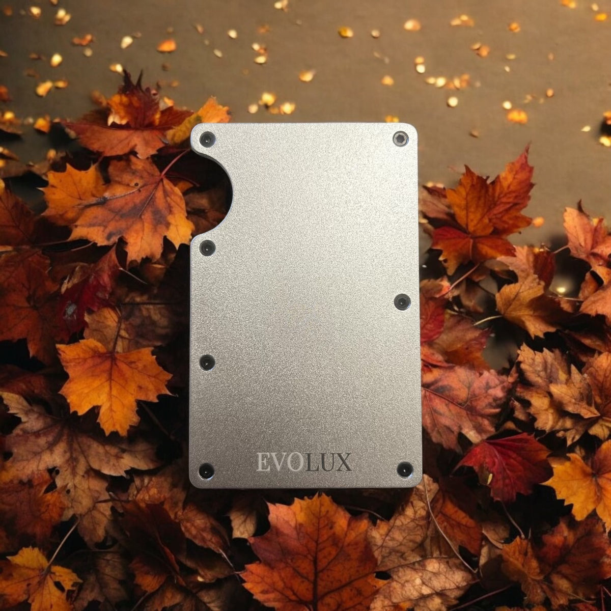 ORIGINAL EVOLUX PUNG - SØLV | 20%